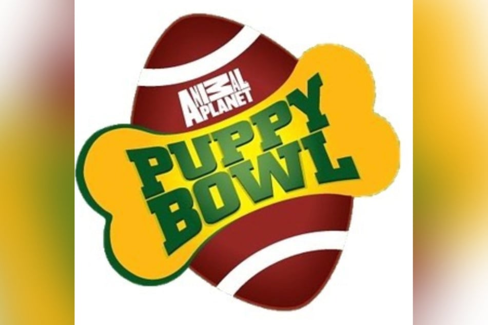 Pooch-down: the Puppy Bowl is back this year!