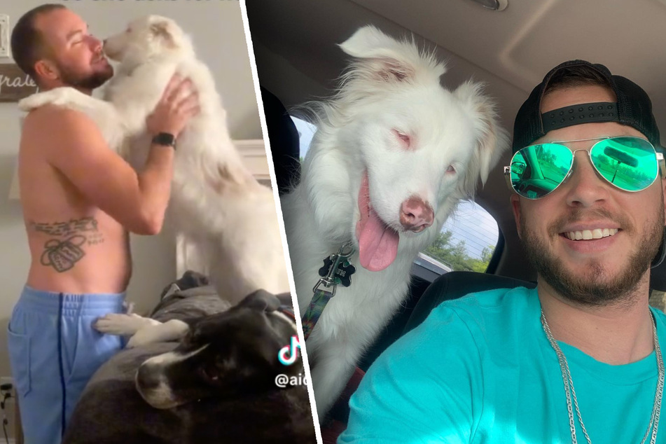 Deaf and blind Australian Shepherd has adorable way of communicating