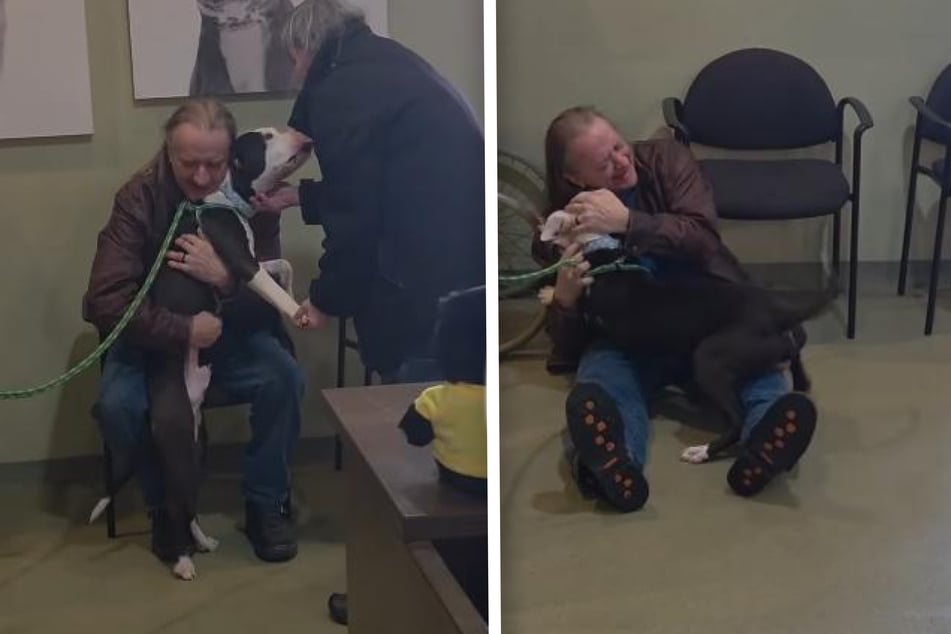 Dog shot and left for dead finally finds loving forever home: "This is what all of our hearts need"