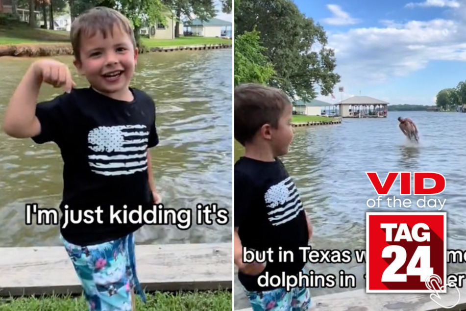 Today's Viral Video of the Day features a hilarious little boy who witnesses something unreal swimming by him in the water!