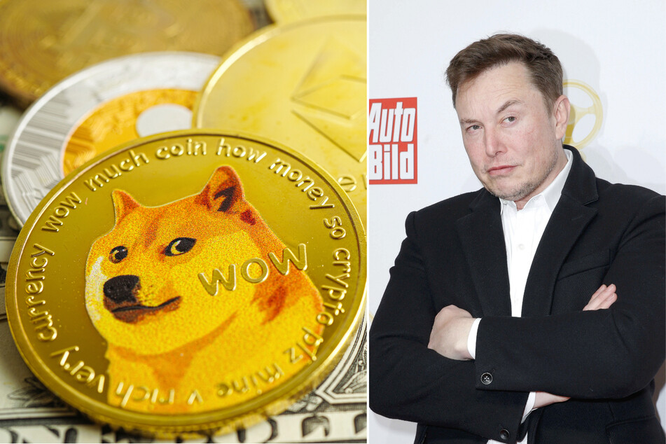 Elon Musk trolls Twitter with Doge logo swap after trying to dismiss $258 billion lawsuit