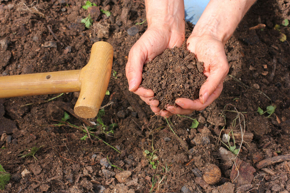 New York state legalizes composting human bodies after death