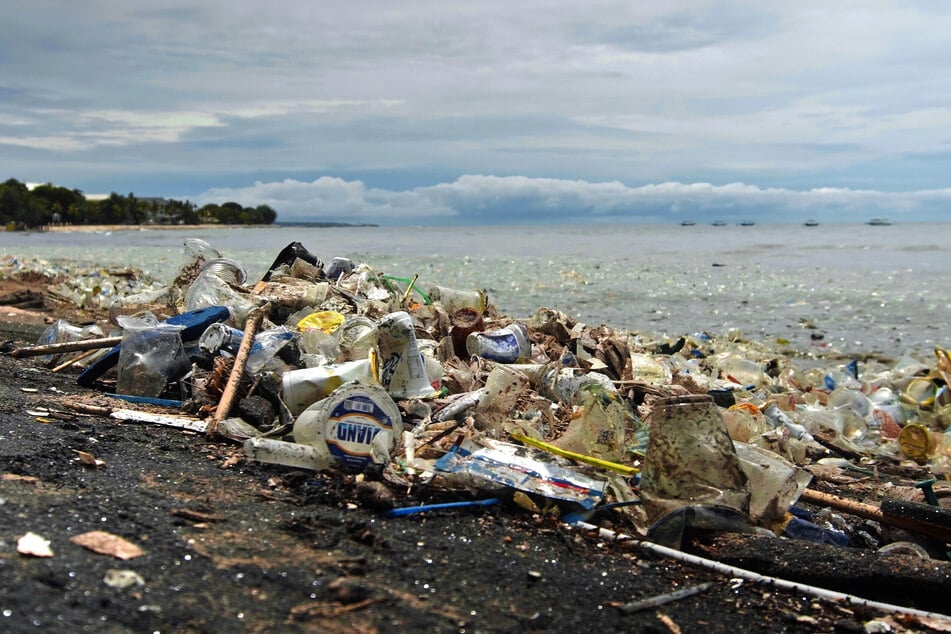 Solving the world's plastic problem will take more than mushrooms and the developing technology for widespread use.