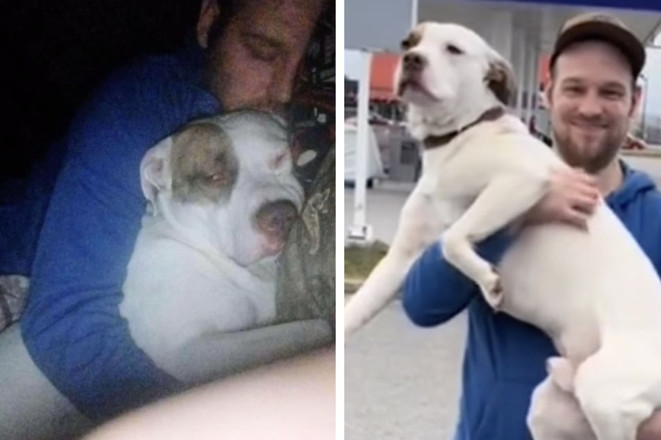 Dog finds his way back to beloved family in bittersweet adoption tale!