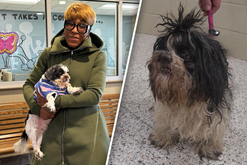 Ohio dog is reunited with his human after going missing for almost a decade!
