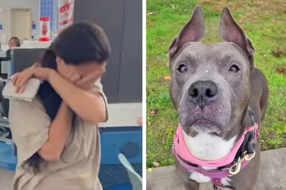 Long-lost dog has touching reunion with its out-of-state family