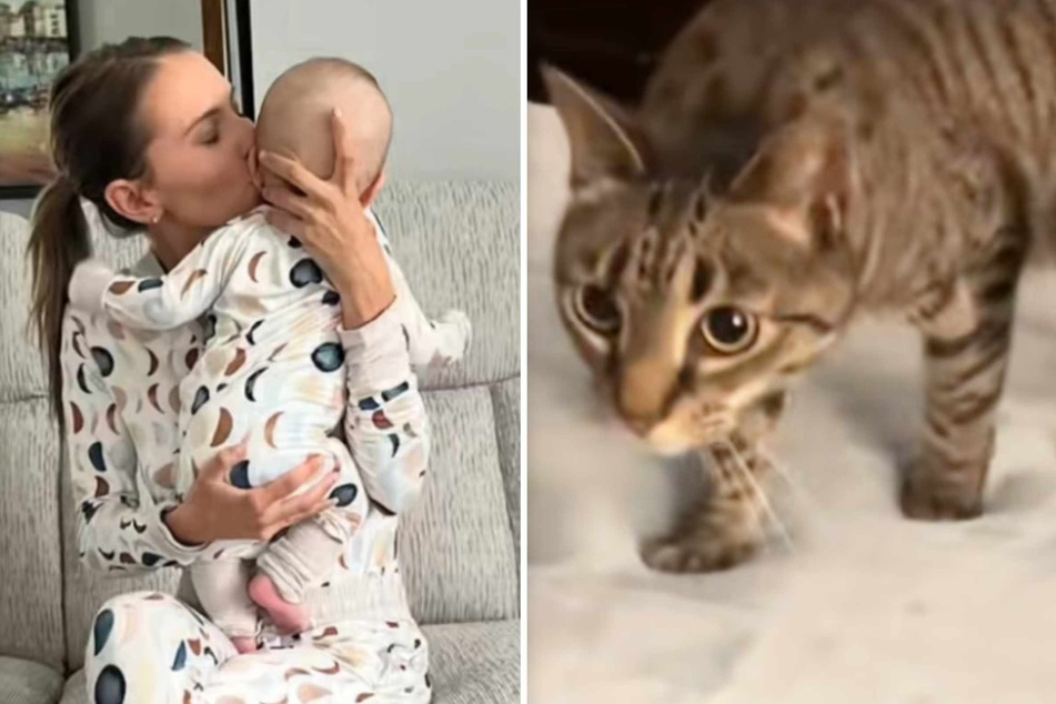 Cat owner is touched when she sees what her cat does for the new baby