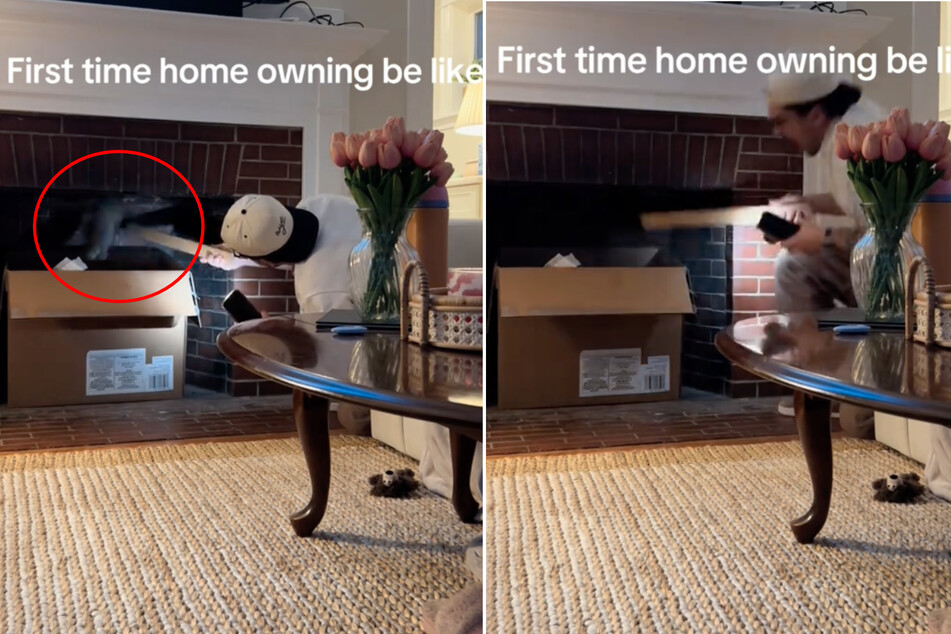 Man makes shocking animal discovery inside fireplace of his new home!