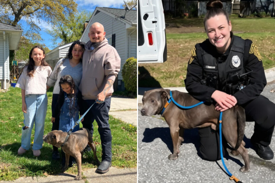 This cute runaway dog needed a lot of help.