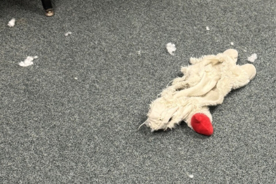 The officers were greeted by a horrific sight as they investigated the crime scene.