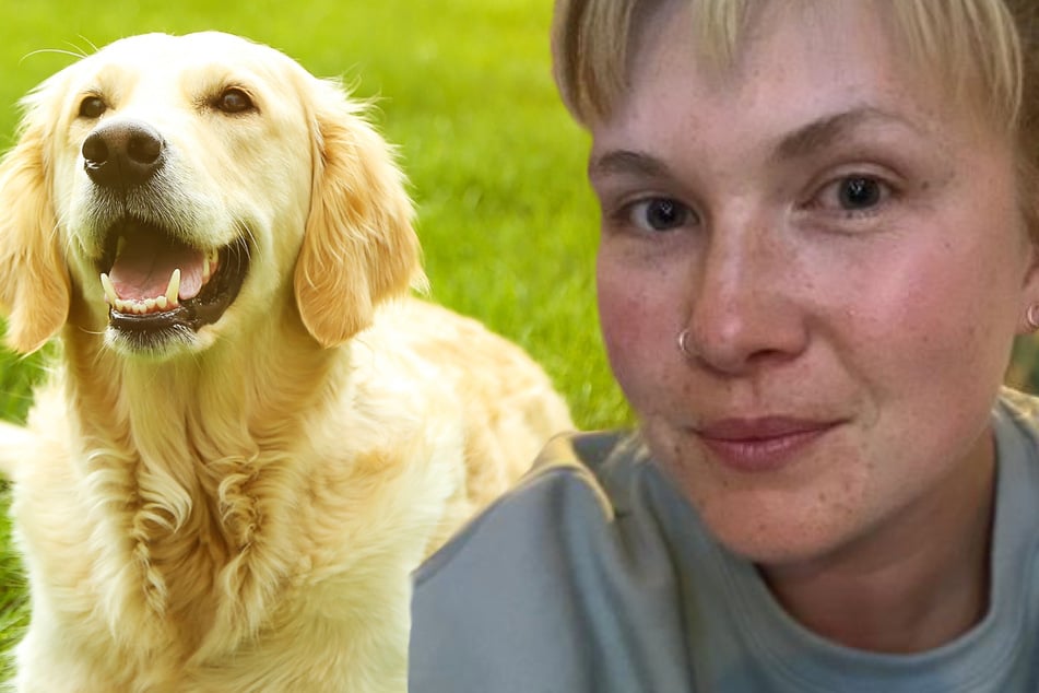 Dog with a "bone": woman can't get Labrador to give up the adult toy it found