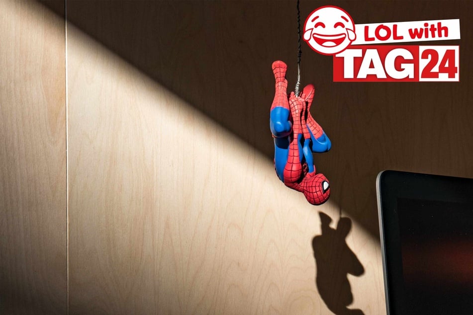 Today's Joke of the Day gives Peter Parker a new day job!