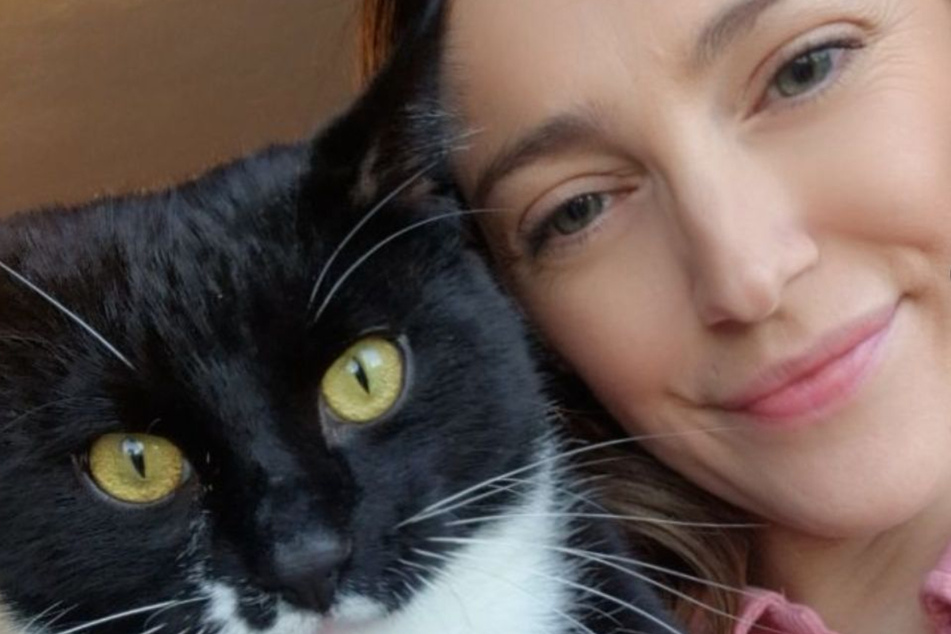 Despite his vagrant lifestyle, Mischief is not a stray – he has an owner named Tonie!