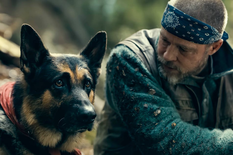 Brad Pitt had nothing but praise for his dog co-star, Uber! The two appear on the big screen in the new thriller, Heart of the Beast.