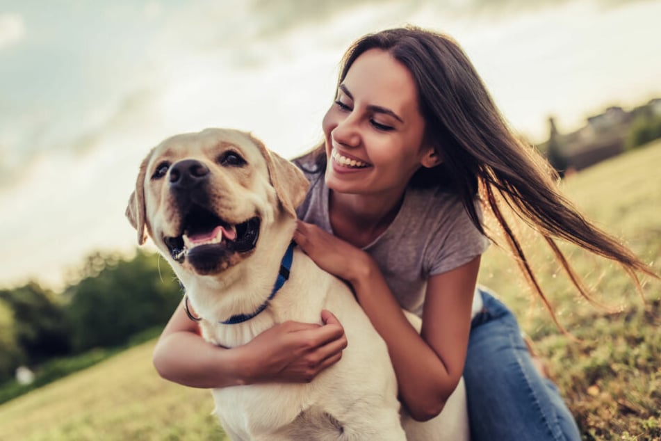 Do dogs have periods?
