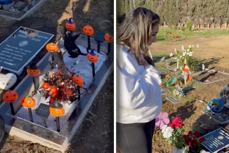 Mom mourns late cat at the grave – where her pet sends her a life-changing "sign"