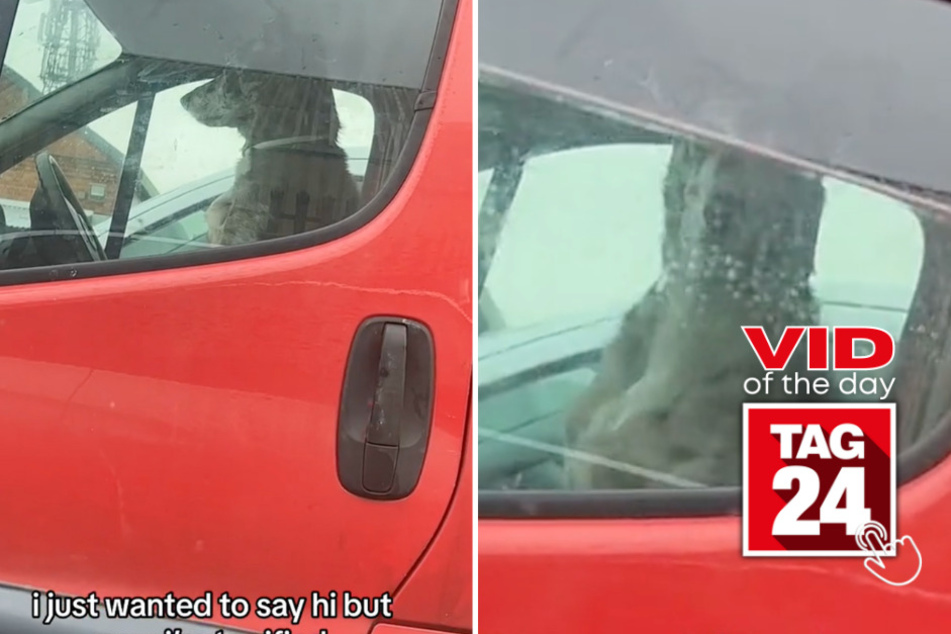 Viral Video of the Day for January 2, 2024: Attempt to get dog's attention takes a terrifying turn