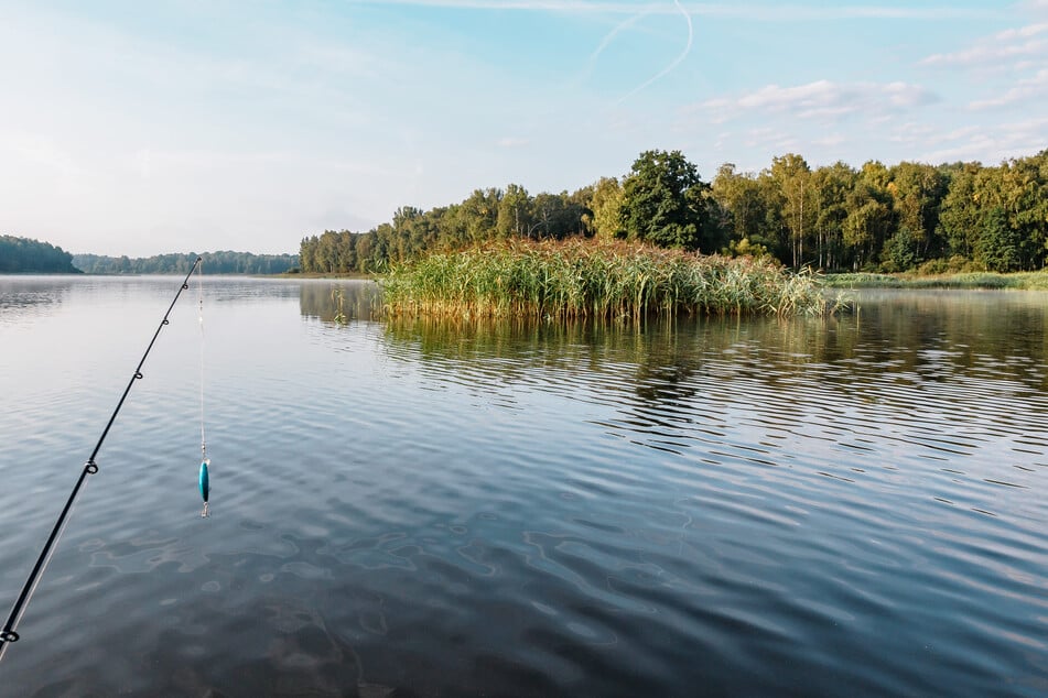 Five reasons why Walmart is your BFF for The Autumn Fish Frenzy
