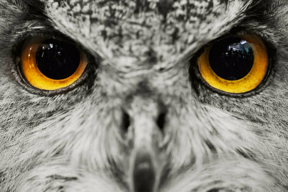 Your personal and free daily horoscope for Friday, 3/27/2026.