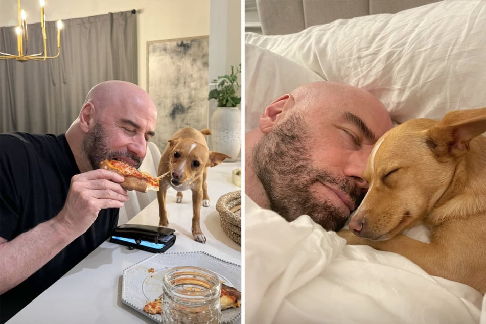 The 72‑year‑old has already shared several cute snapshots of the female dog on social media. He adopted the Chihuahua mix four years ago.