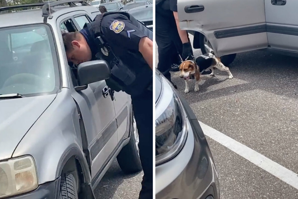 The officers broke the car window (l.) and rescued the four-legged friends (r.).