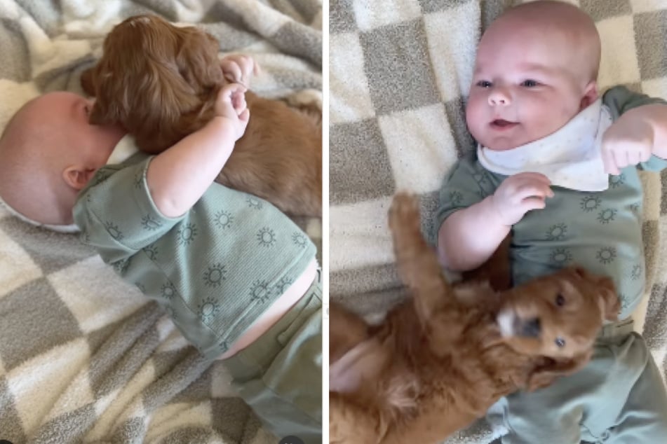 Puppy falls in love at first sight with this giggling baby boy!