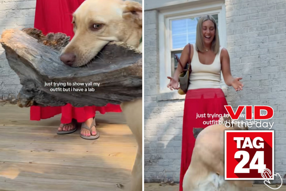 This woman tried to film an outfit video for Tiktok, but her dog decided to steal the show instead!