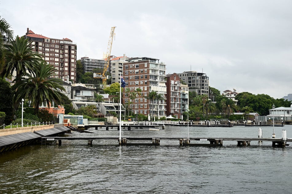 Monday's shark attack was the first in Sydney Harbor in 15 years.