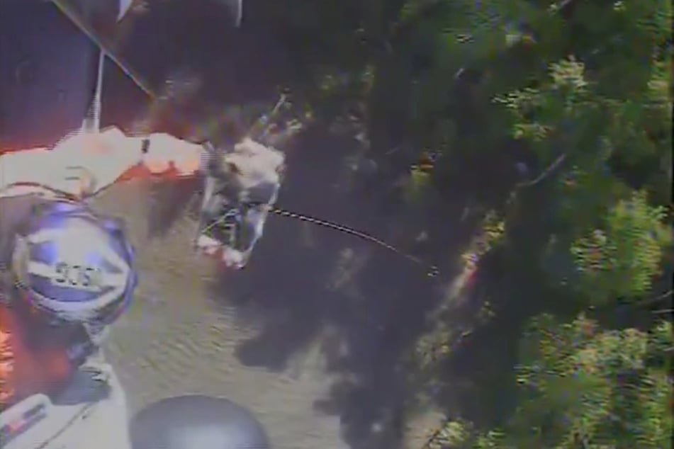 After seven days in the wilderness, the 70-year-old was finally brought to safety.