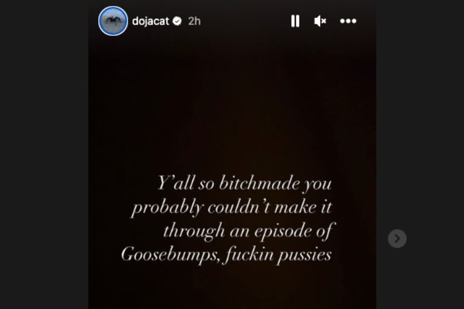 Doja Cat mocked followers for being scared of her art.