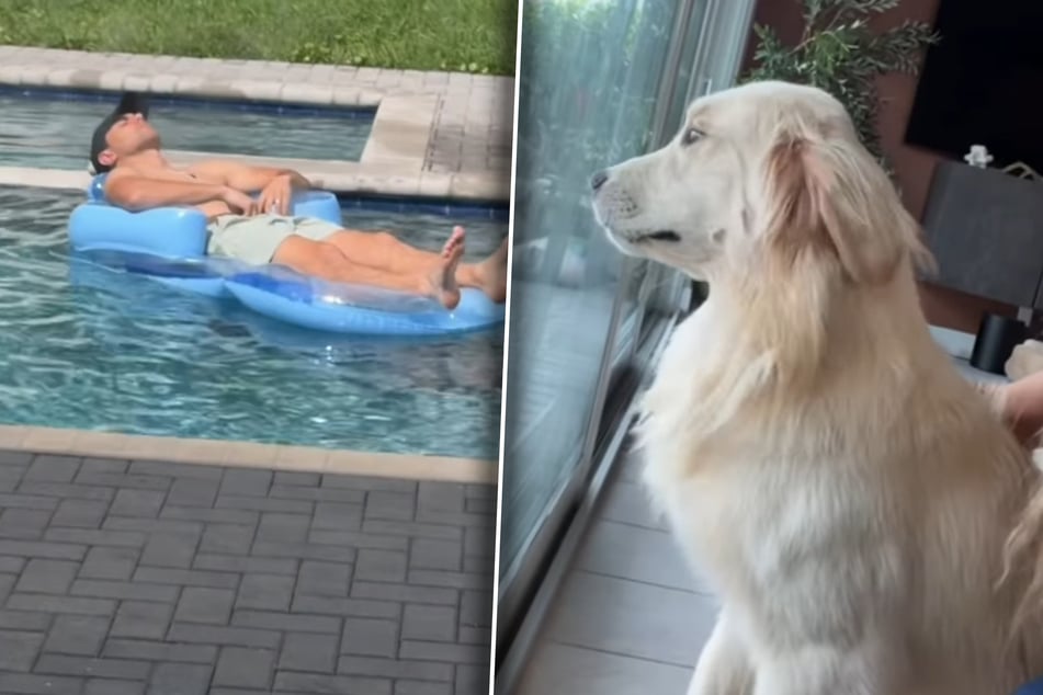 Corey Moriarty just wants to relax. The golden retriever doesn't want that.