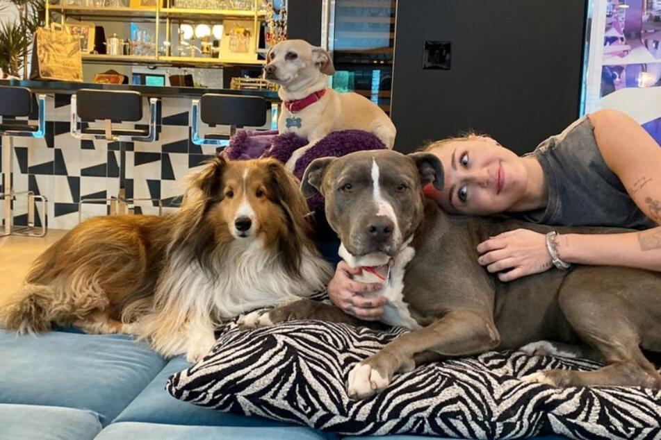 Miley Cyrus has some big news after losing her beloved dog