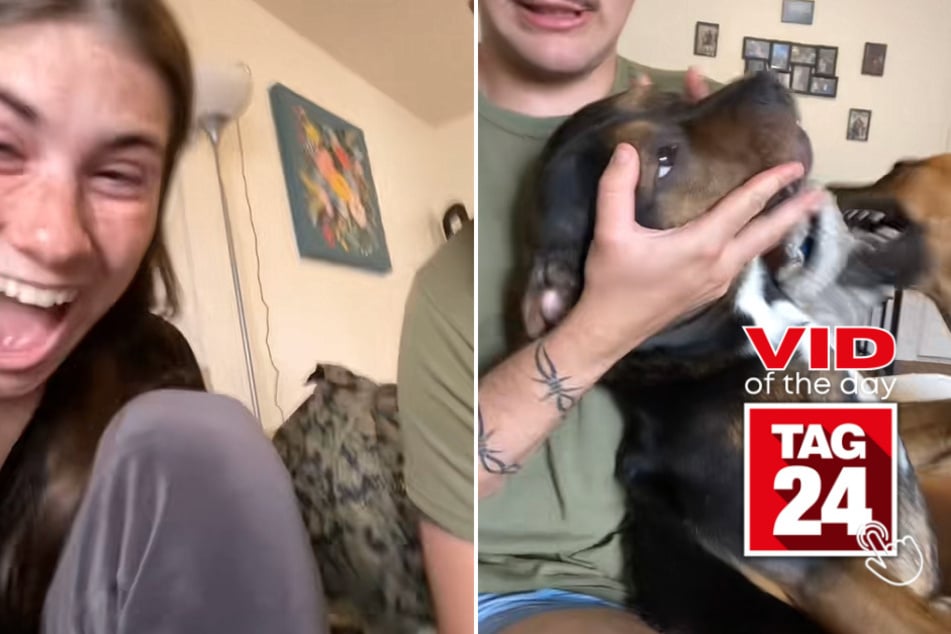 Viral Video of the Day for May 21, 2023: Dog puts in Oscar-worthy acting performance