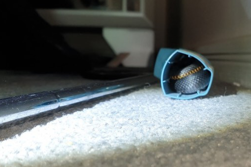 Teen goes to wash her clothes and gets the shock of her life