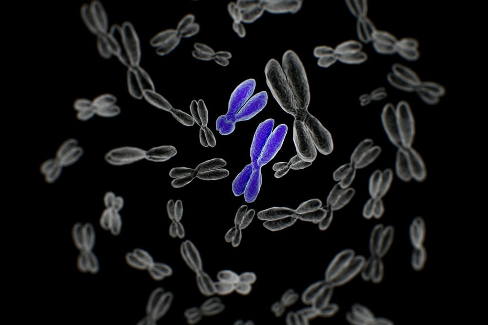 Researchers used data from the 1000 Genomes Project, the largest public catalog of common human genetic variation.