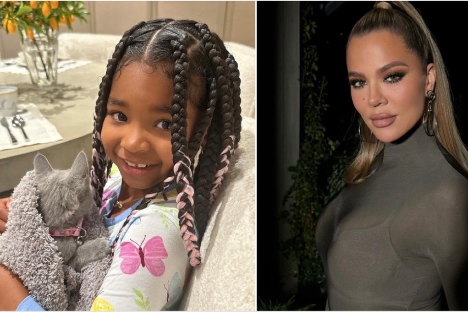 Khloé Kardashian (r.) is a fur mom of two! The reality star introduced her new kitty to the world on Instagram.