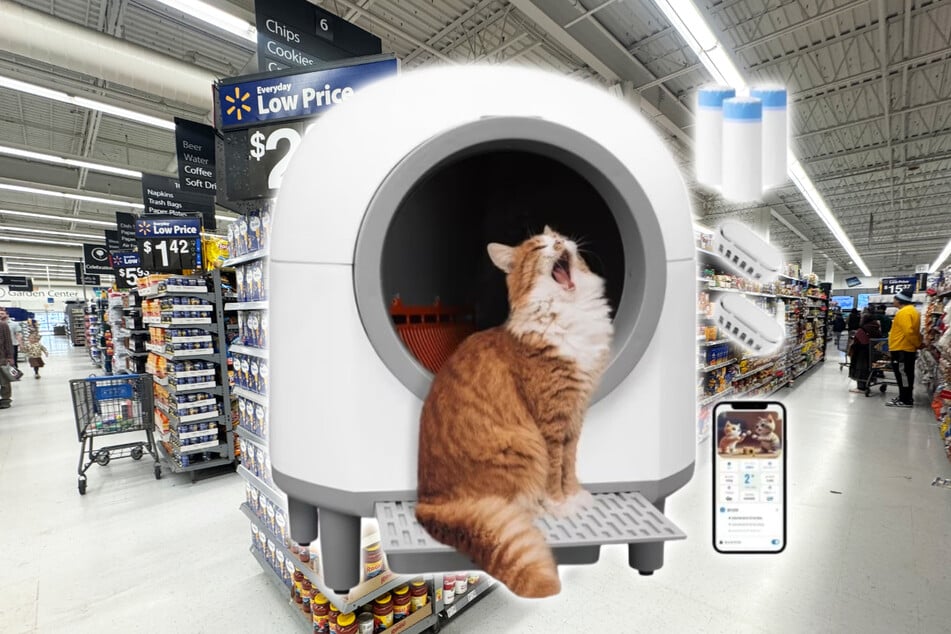 Every Cat owner wants this smart litter box