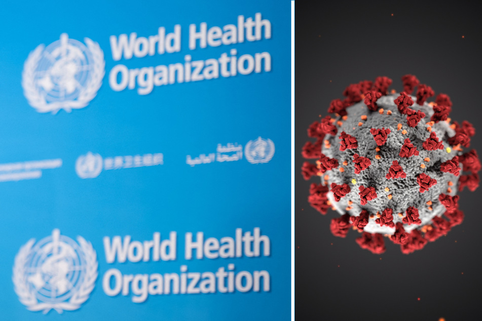 Did Covid start from a lab leak in China? The WHO wants the US' help to find out