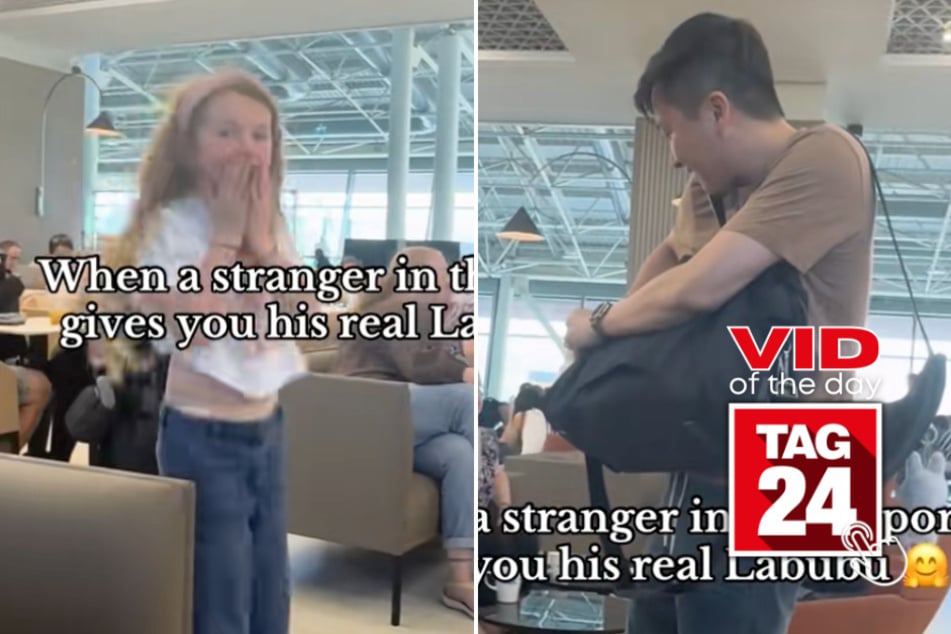 Viral Video of the Day for May 25, 2025: Stranger surprises little girl with her dream toy!