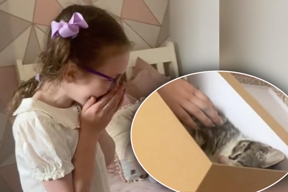 Little girl finally gets the kitten she always dreamed of! Her tearful reaction is priceless
