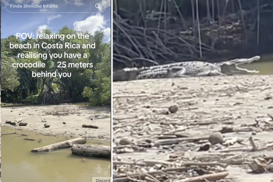 Behind the tourist, a camouflaged crocodile had made itself comfortable in the sun.