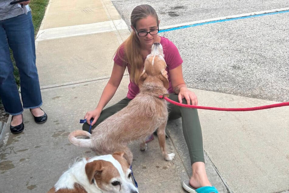 Chong the dog's owner could hardly believe her luck!