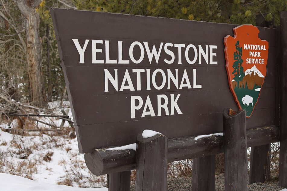 Two Yellowstone hikers injured in shocking bear attack