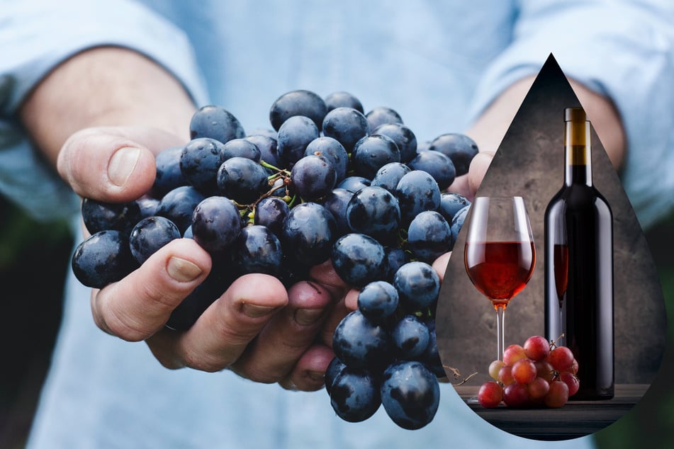 National Drink Wine Day: How to make homemade wine... the easy way!