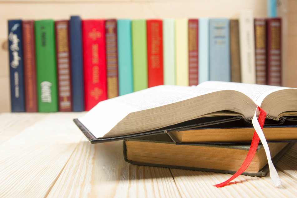 The Collins Dictionary announces its word of the year and there was only ever one candidate