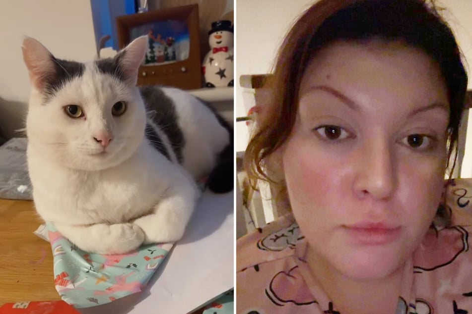 Cat's heartbreaking goodbye letter from neighbors has got everyone weeping