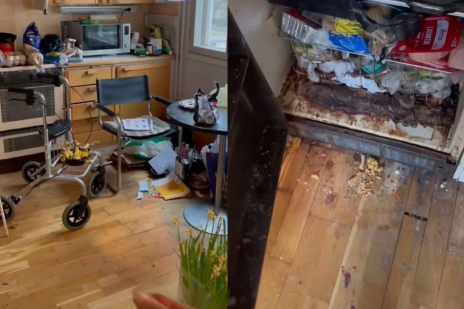 Aurikatariina, TikTok's Queen of Clean, completely transforms elderly couple's home