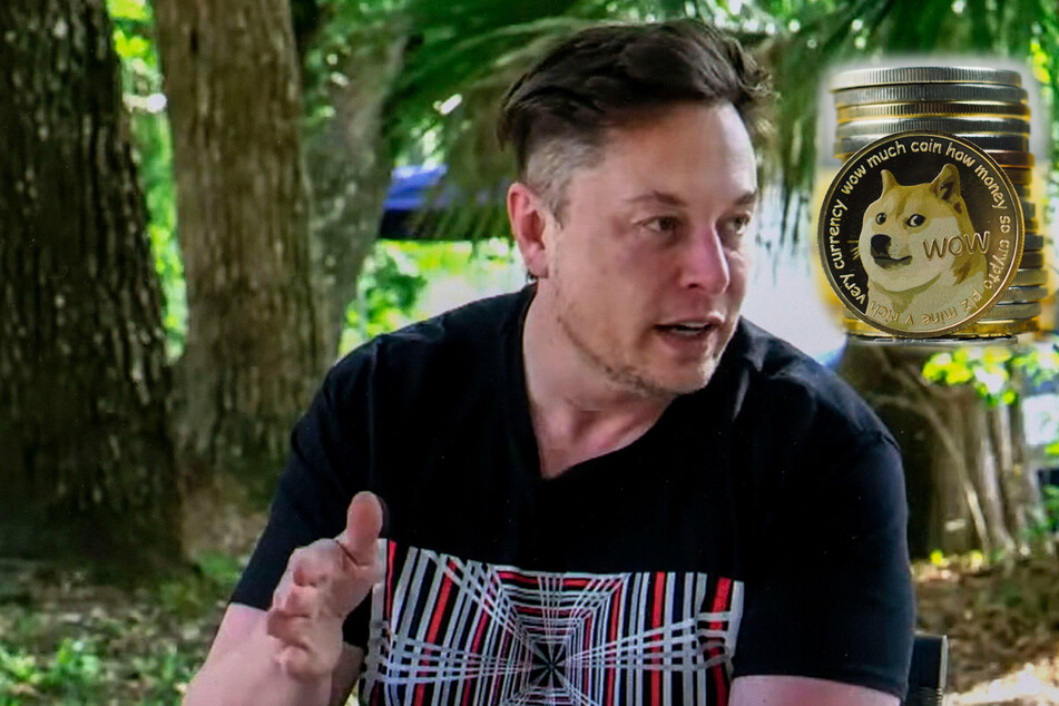 The Dogefather: Elon Musk's midnight Tweets are spiking Dogecoin once again