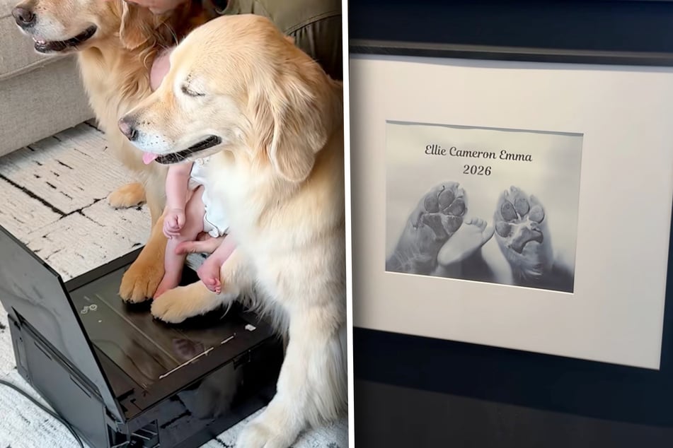 The dogs and the baby leave a joint paw and/or footprint in the printer. The result is something glorious to behold!