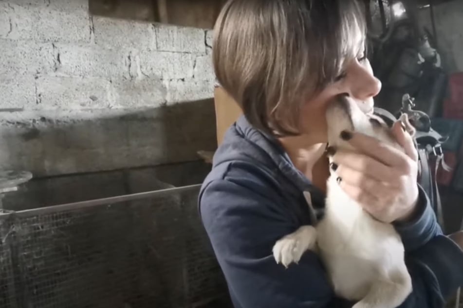 Puppies left on their own after tragic accident kills their mom – but there's hope!